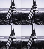 Jon Gould with American Flag, Andy Warhol